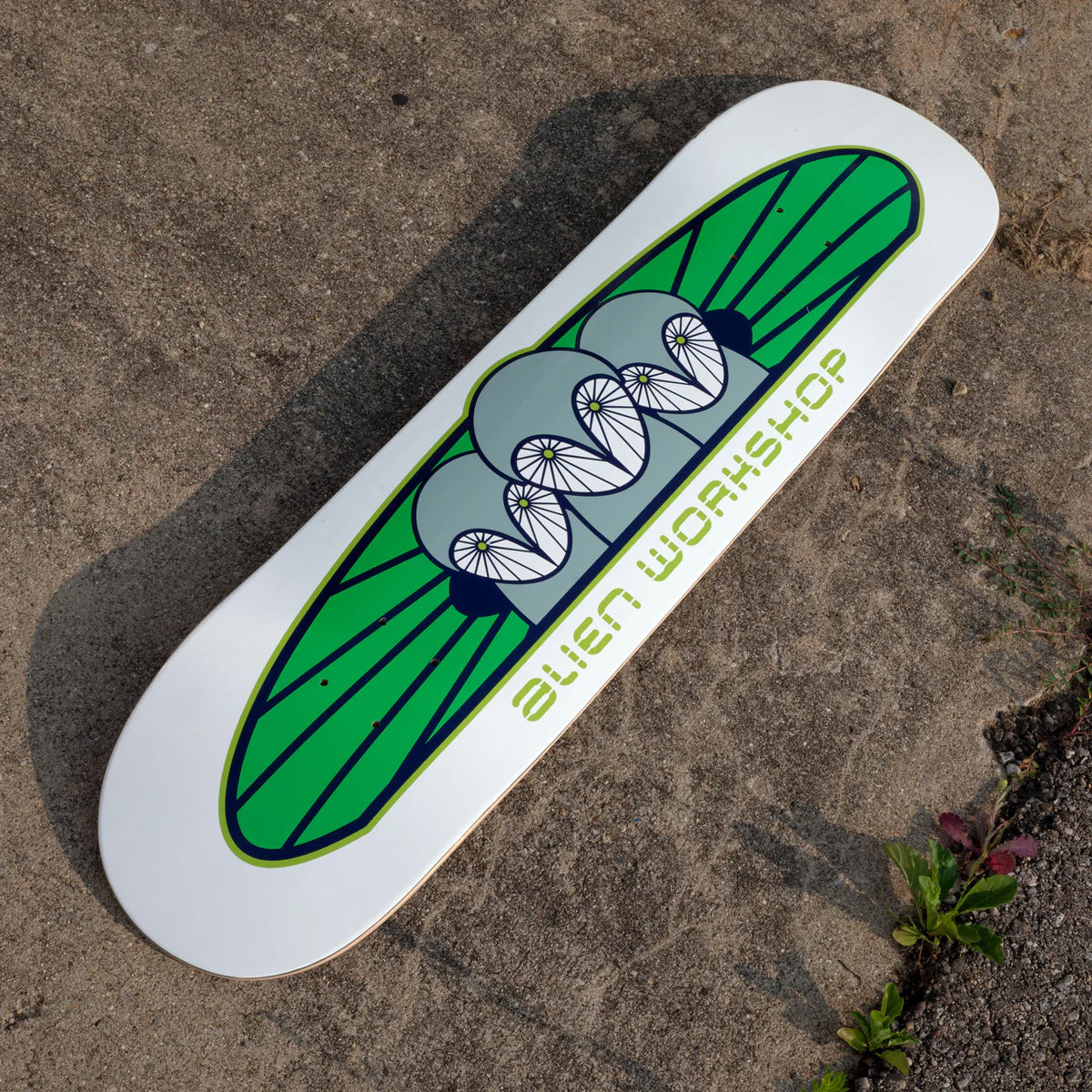 Alien Workshop Skateboard Deck Owliad White 8.25" x 32.25"