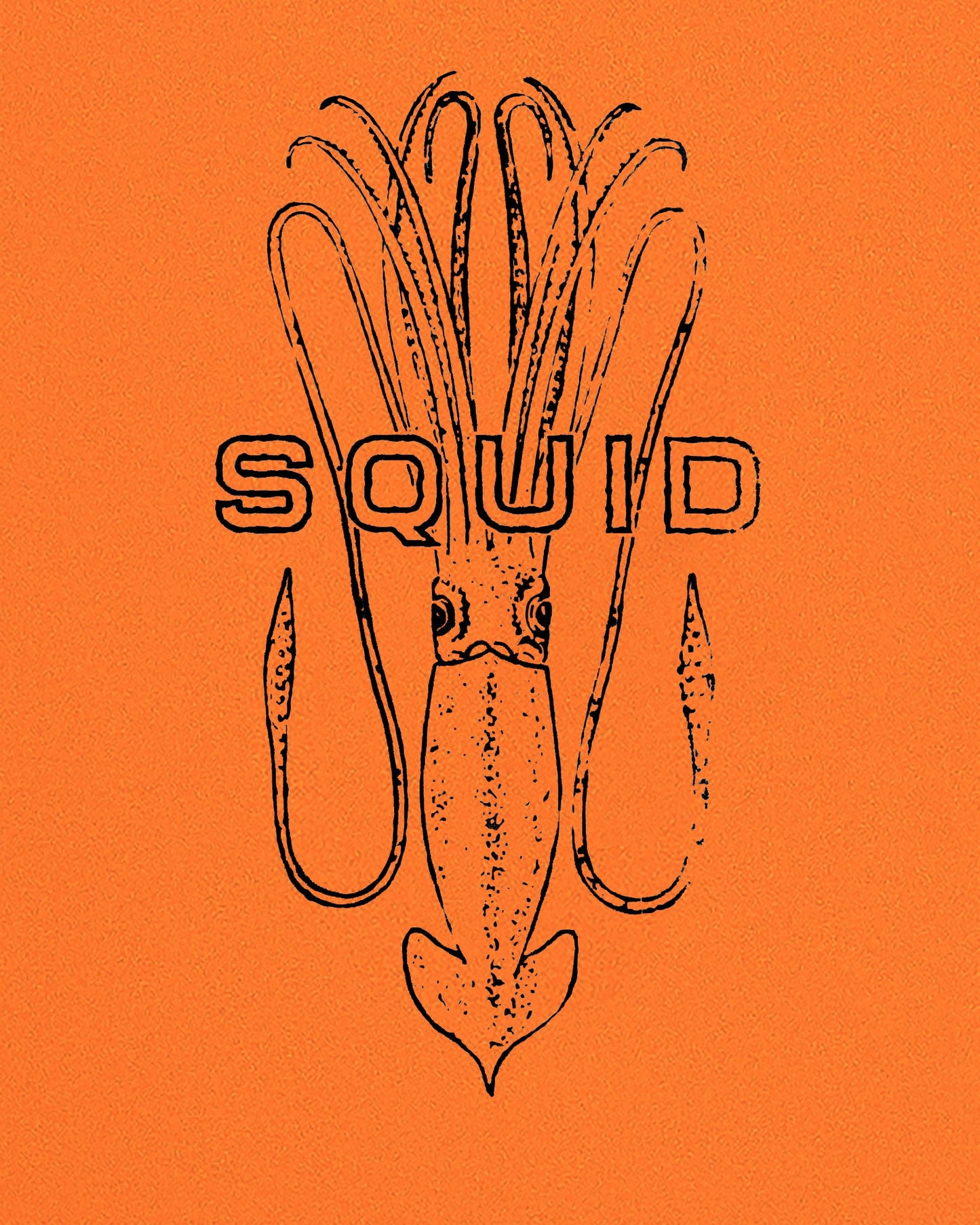 SQUID 6'0 - Orange/Blue