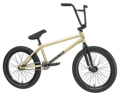 Sunday Wavelength Gary Young Signature Bike